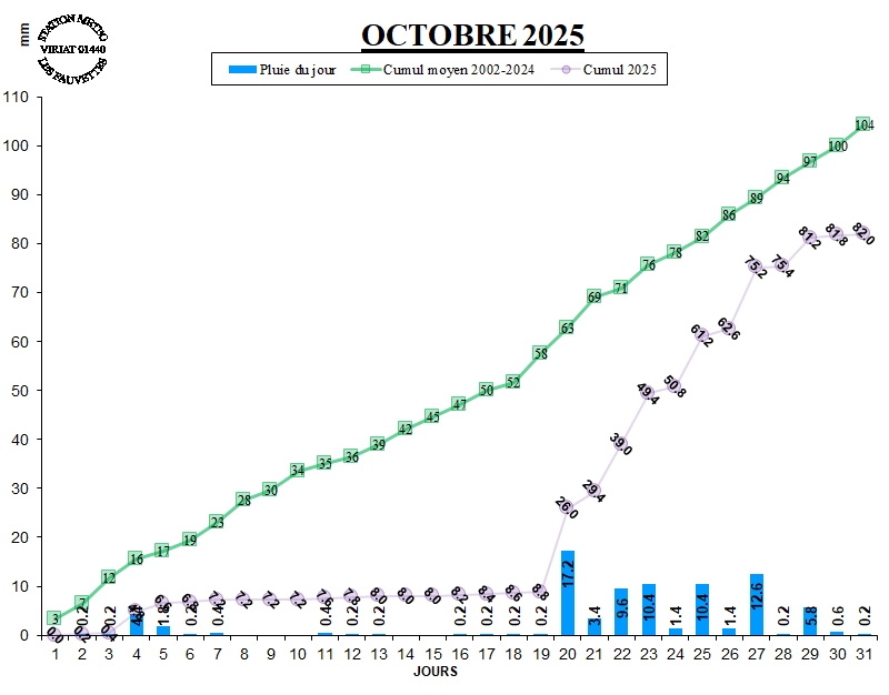 GRAPH PLUIE 10-25.jpg